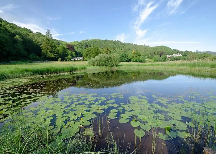 The Nest, Clappersgate, Apartamento